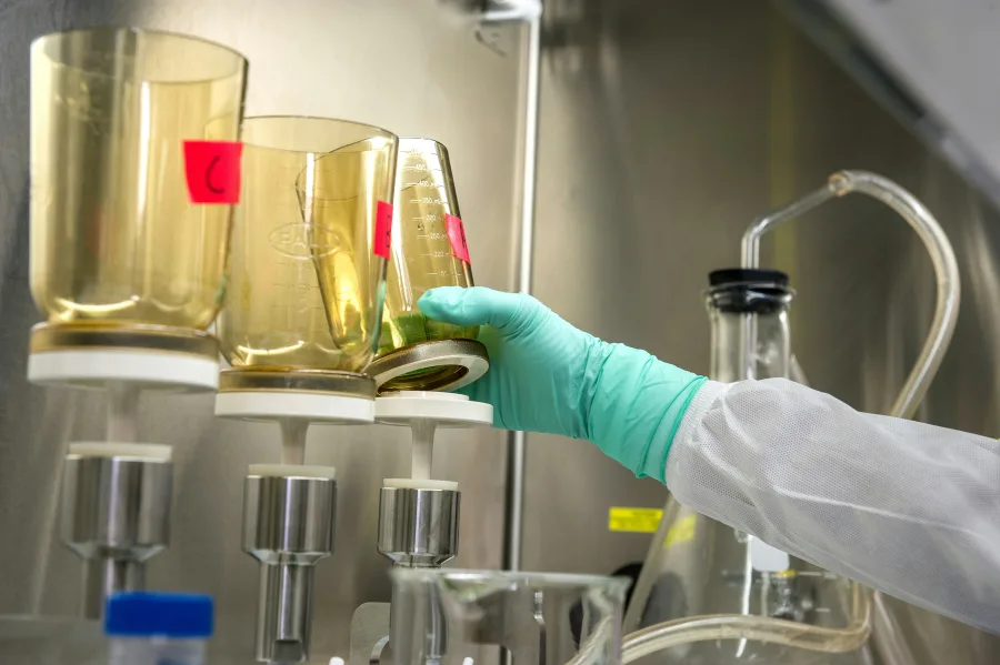 Laboratory technician handling labelled filtration vessels